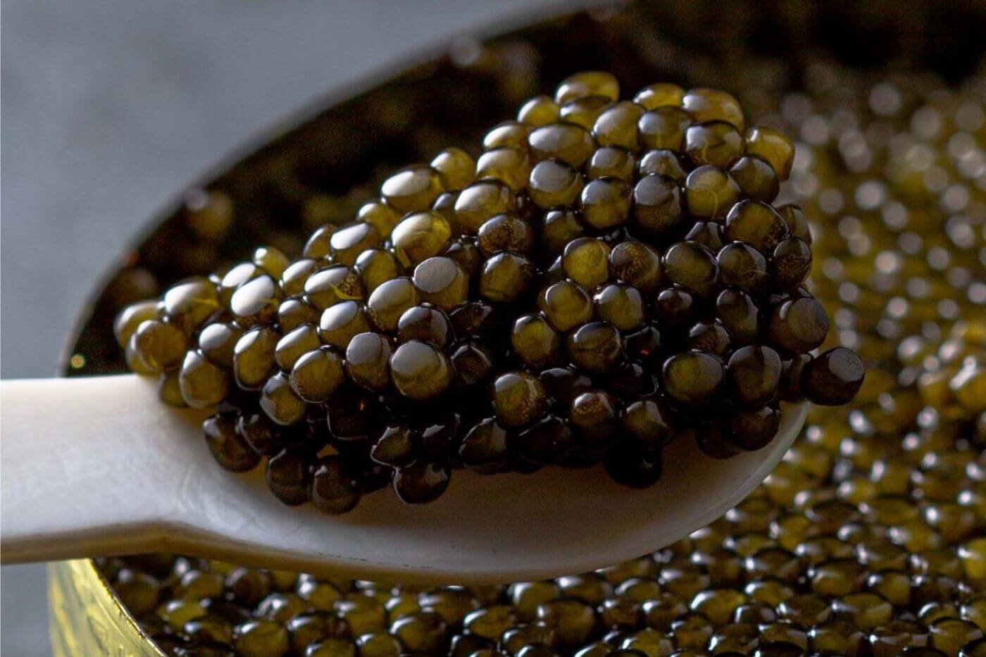 Best caviar brands in Abu Dhabi
